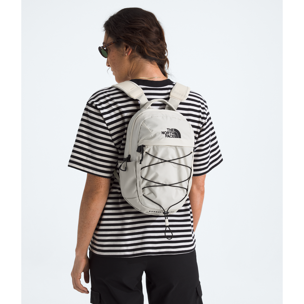 The North Face Borealis Mini Backpack
