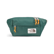 The North Face Berkeley Lumbar Pack in Dark Sage Summit Gold  Luggage & Bags