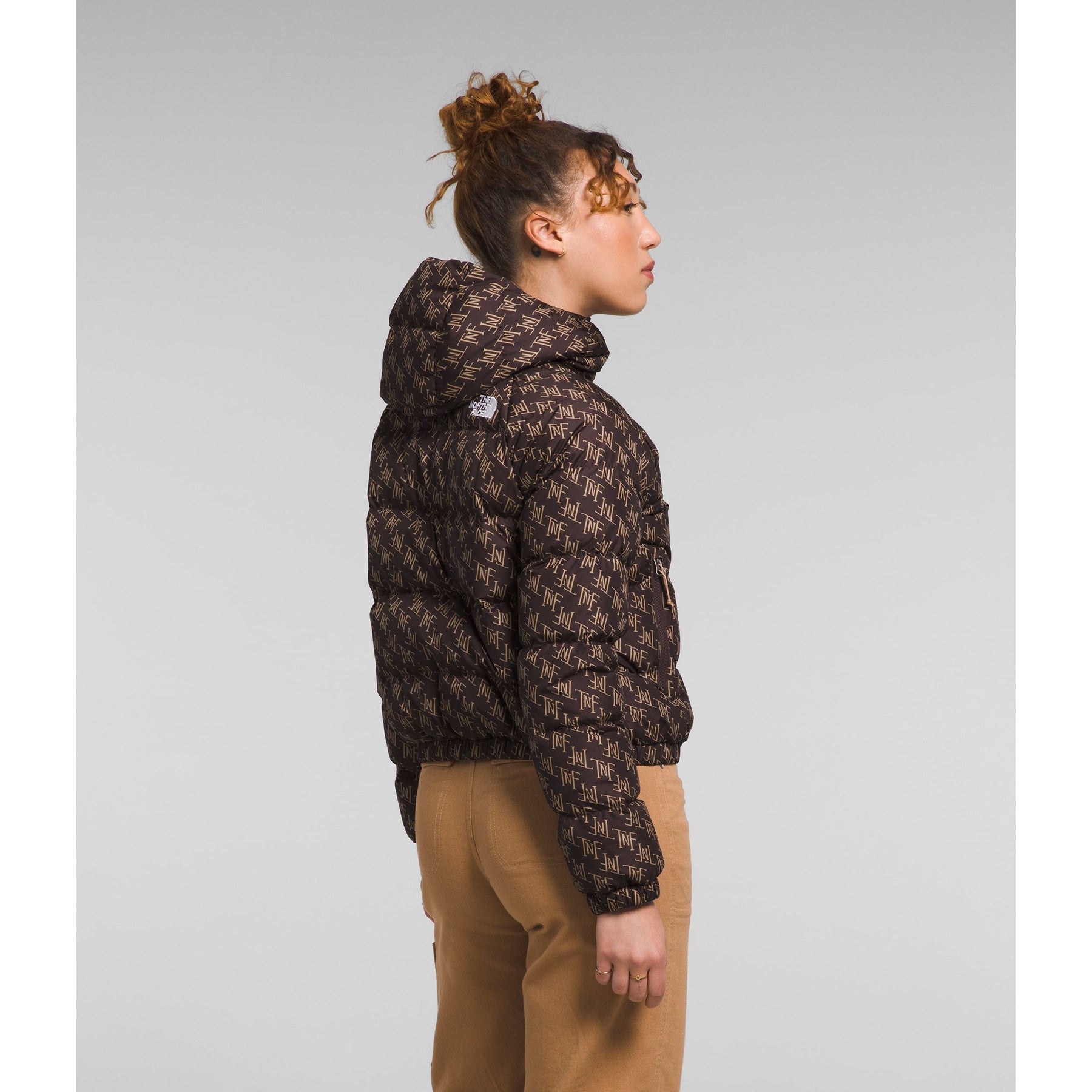 The North Face Women's Hydrenalite Down Hoodie in Coal Brown 