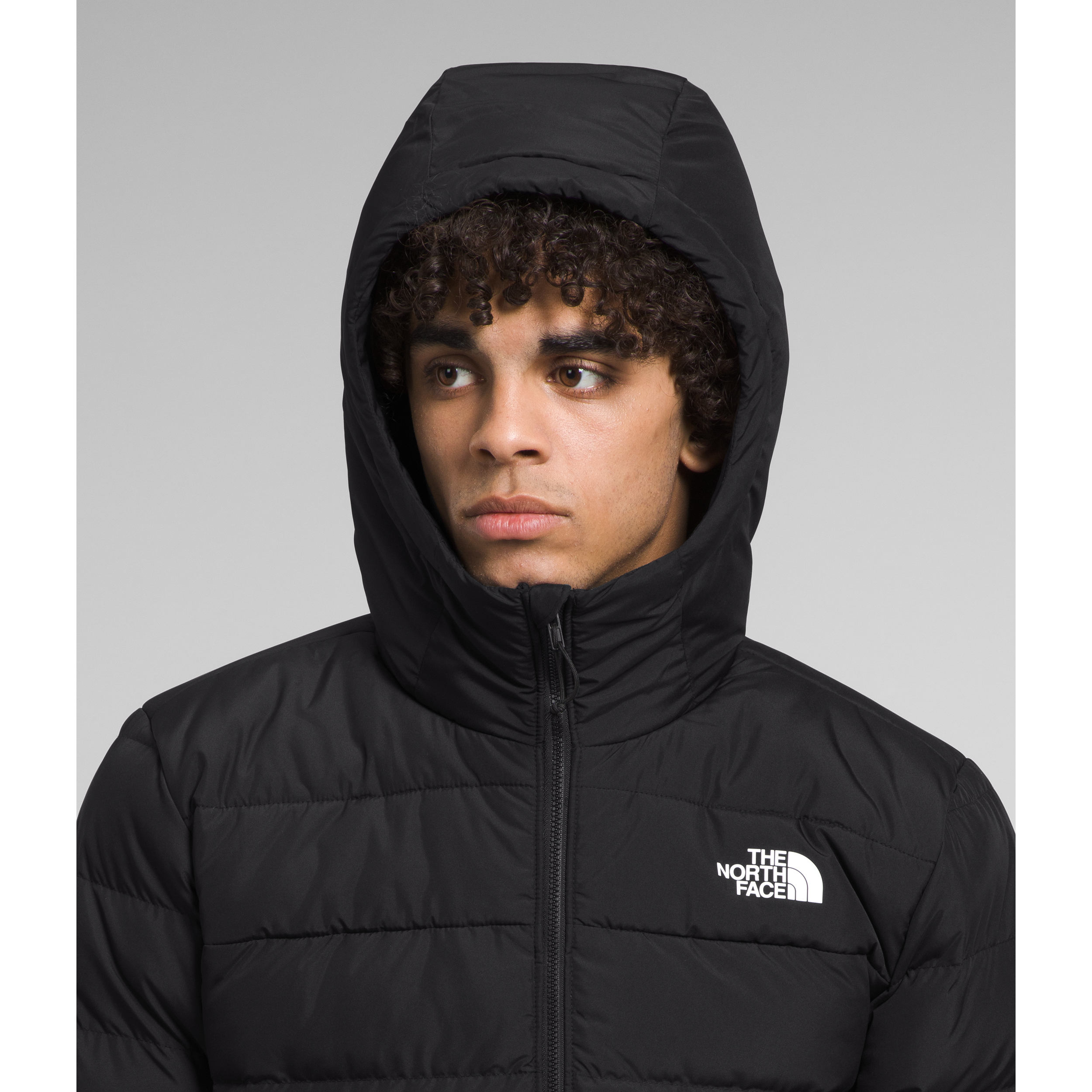 The North Face Men's Aconcagua 3 Hoodie in TNF Black  Coats & Jackets