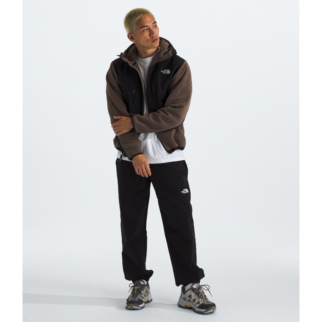 The North Face Men's Retro Denali Hoodie