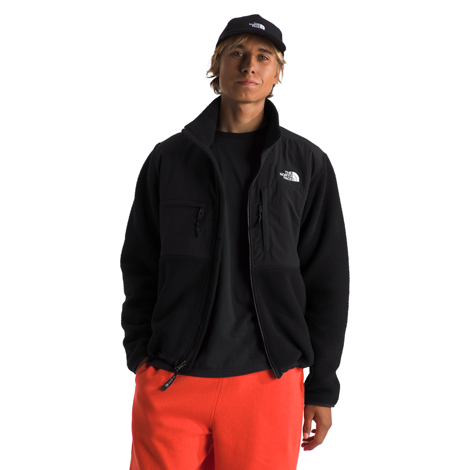 #color_tnf-black