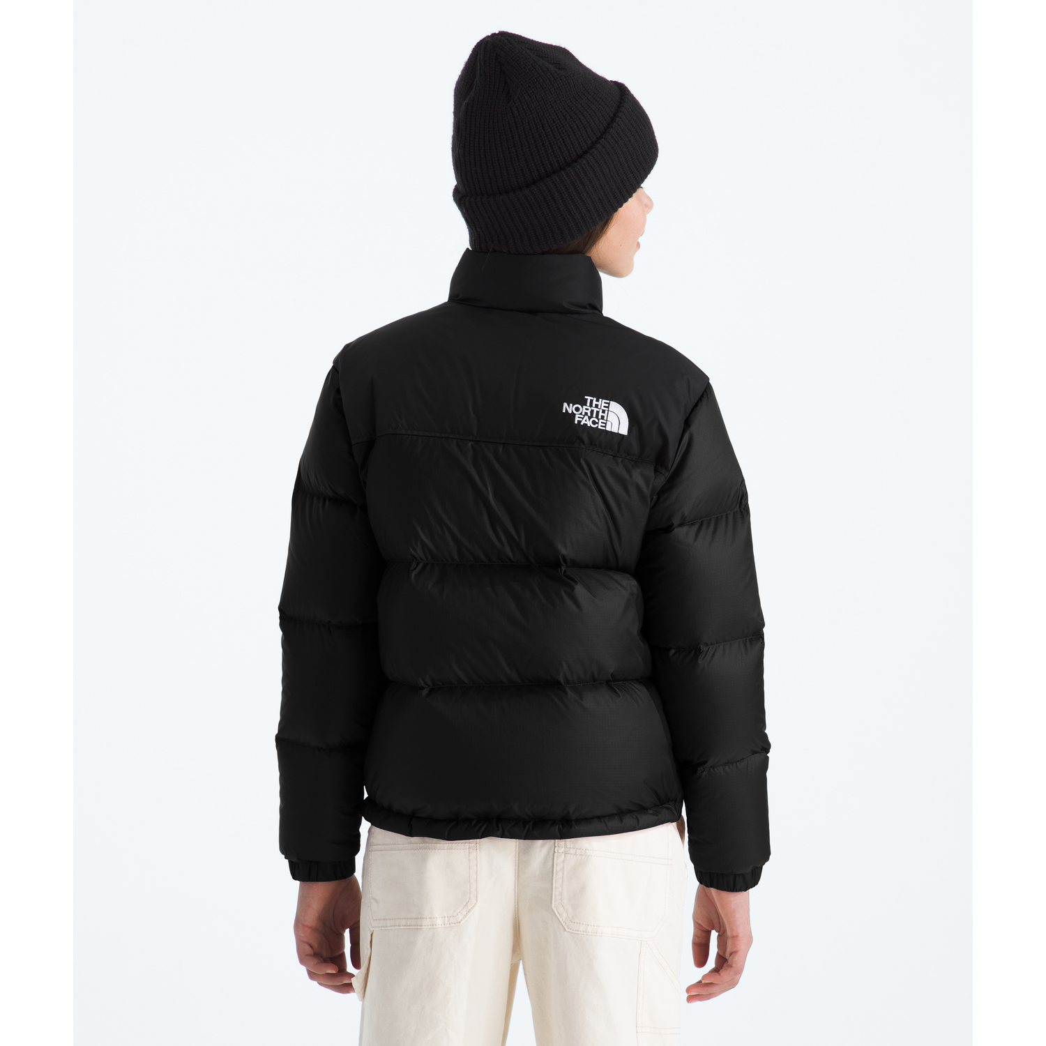 #color_tnf-black-tnf-black-recycled-down