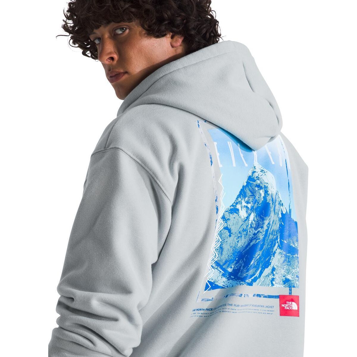 The North Face Men's Red Box Everest Heavyweight Hoodie-Footprint USA