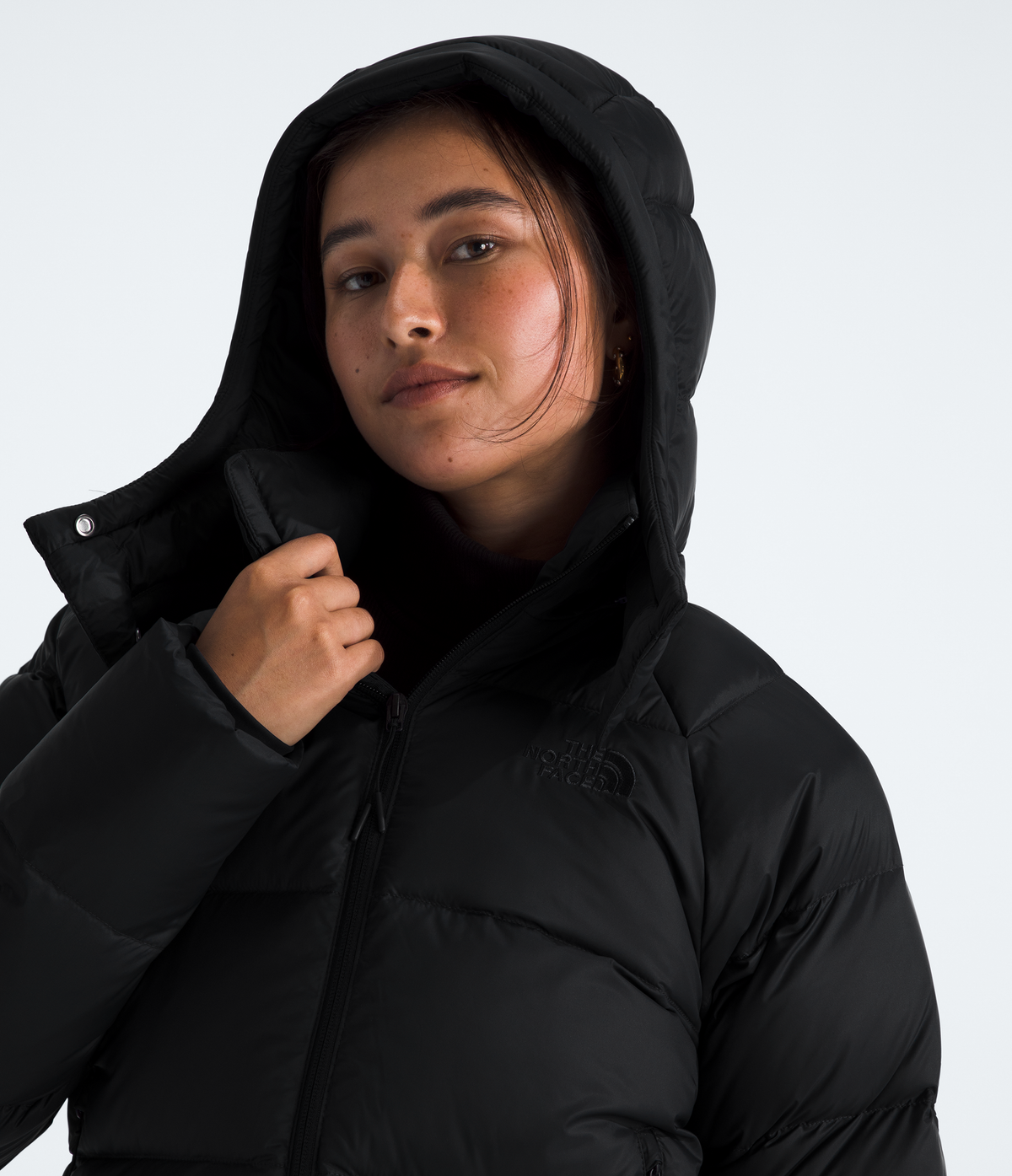 #color_tnf-black