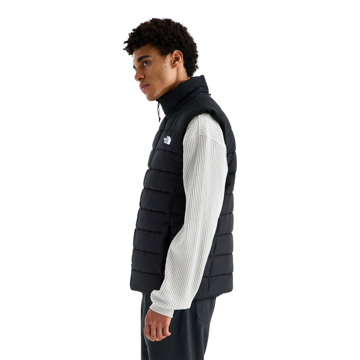 #color_tnf-black