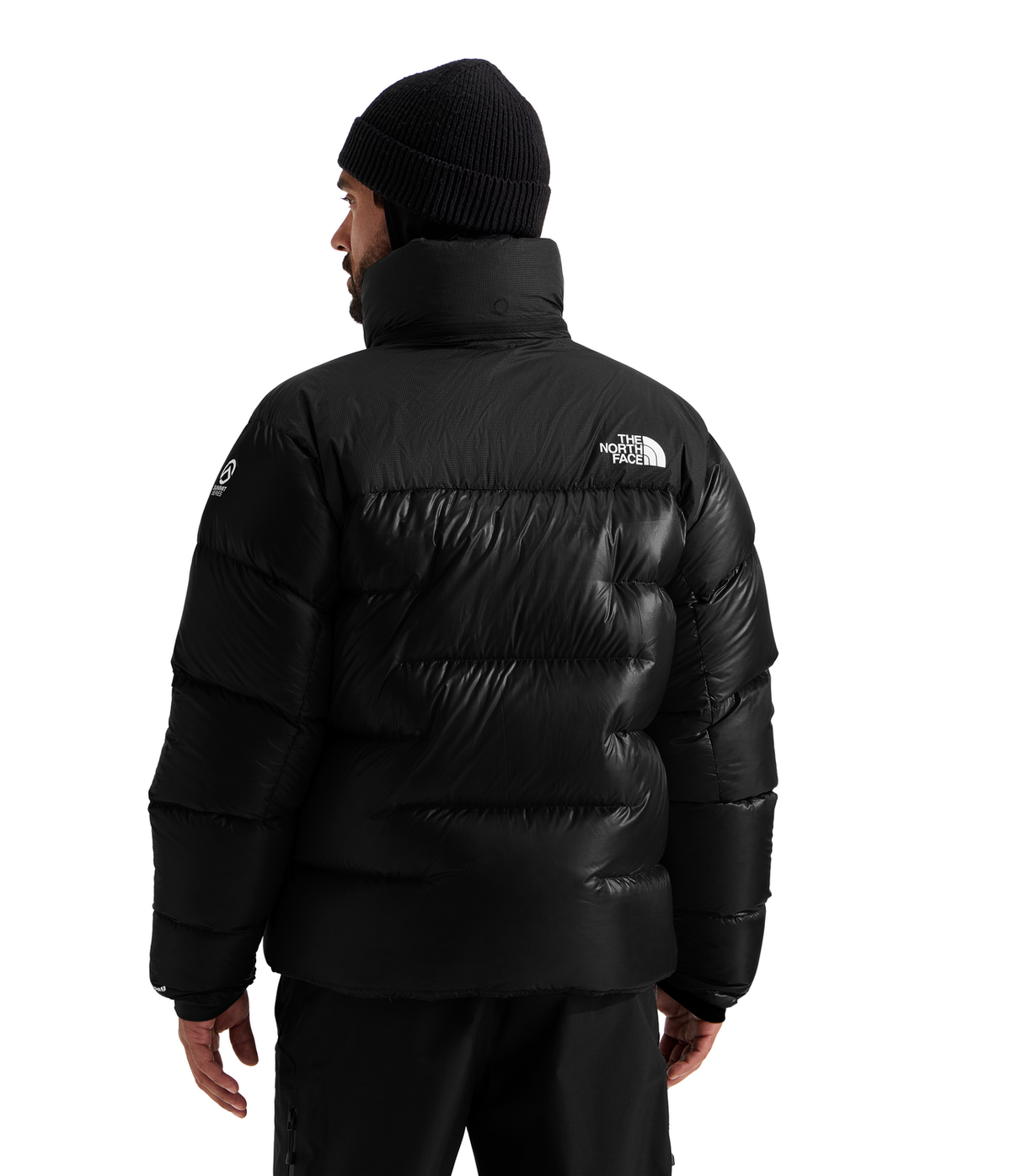 #color_tnf-black