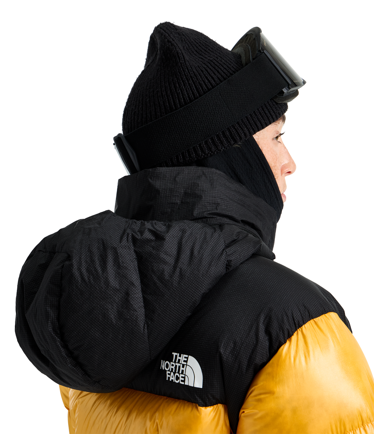 #color_summit-gold-tnf-black