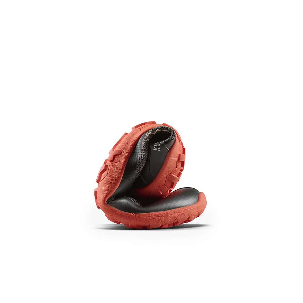 #color_obsidian-cherry-tomato