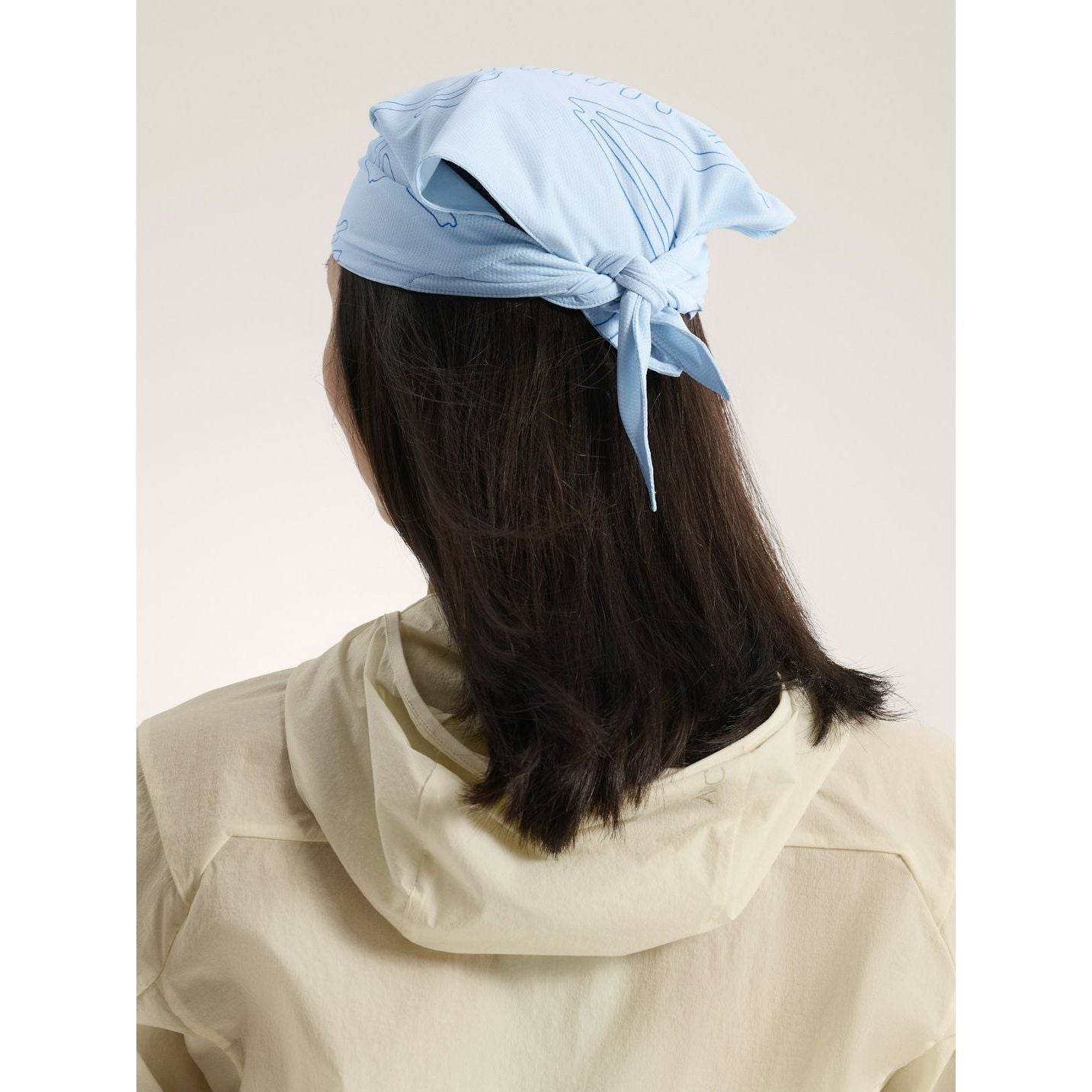 #color_alpine-blue