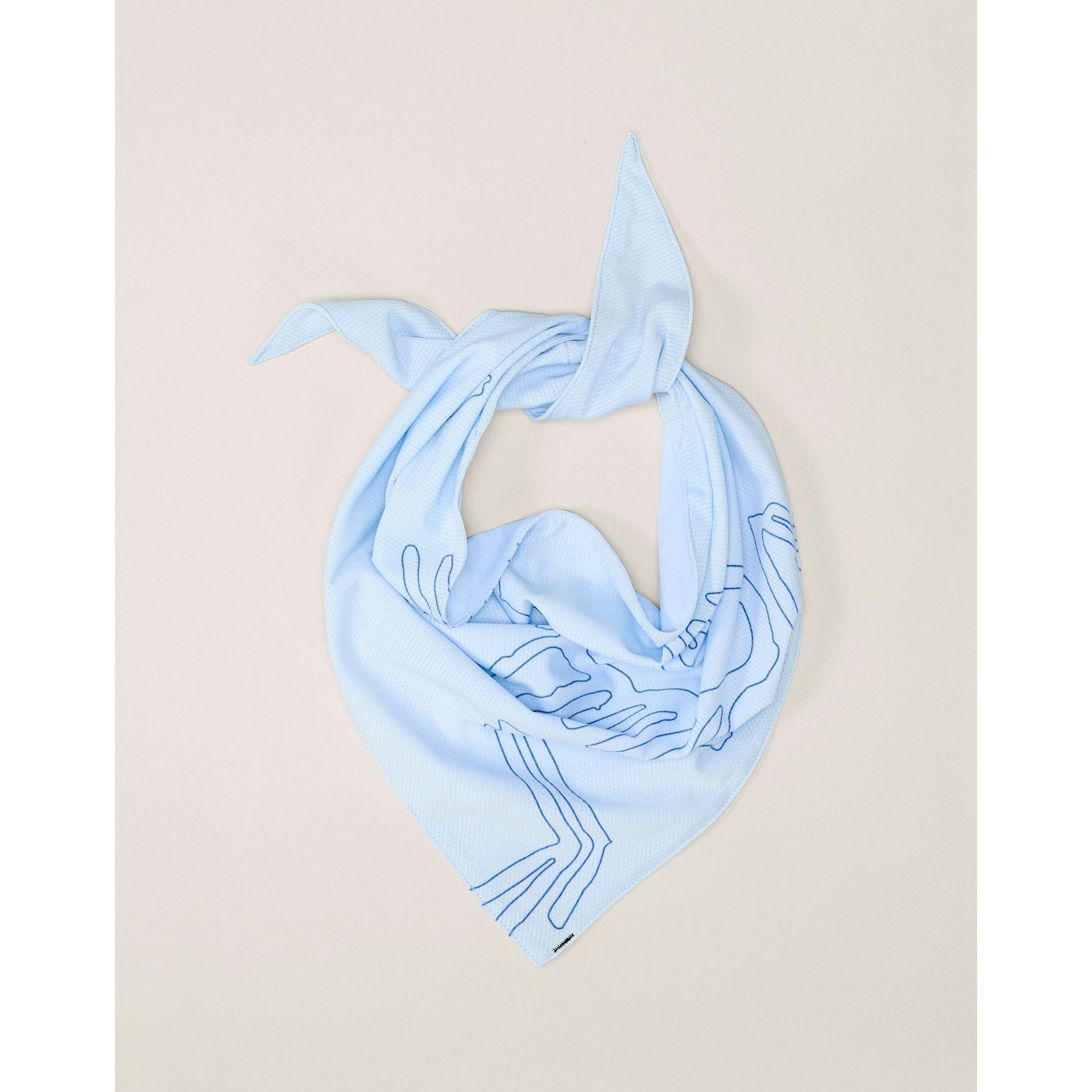 #color_alpine-blue