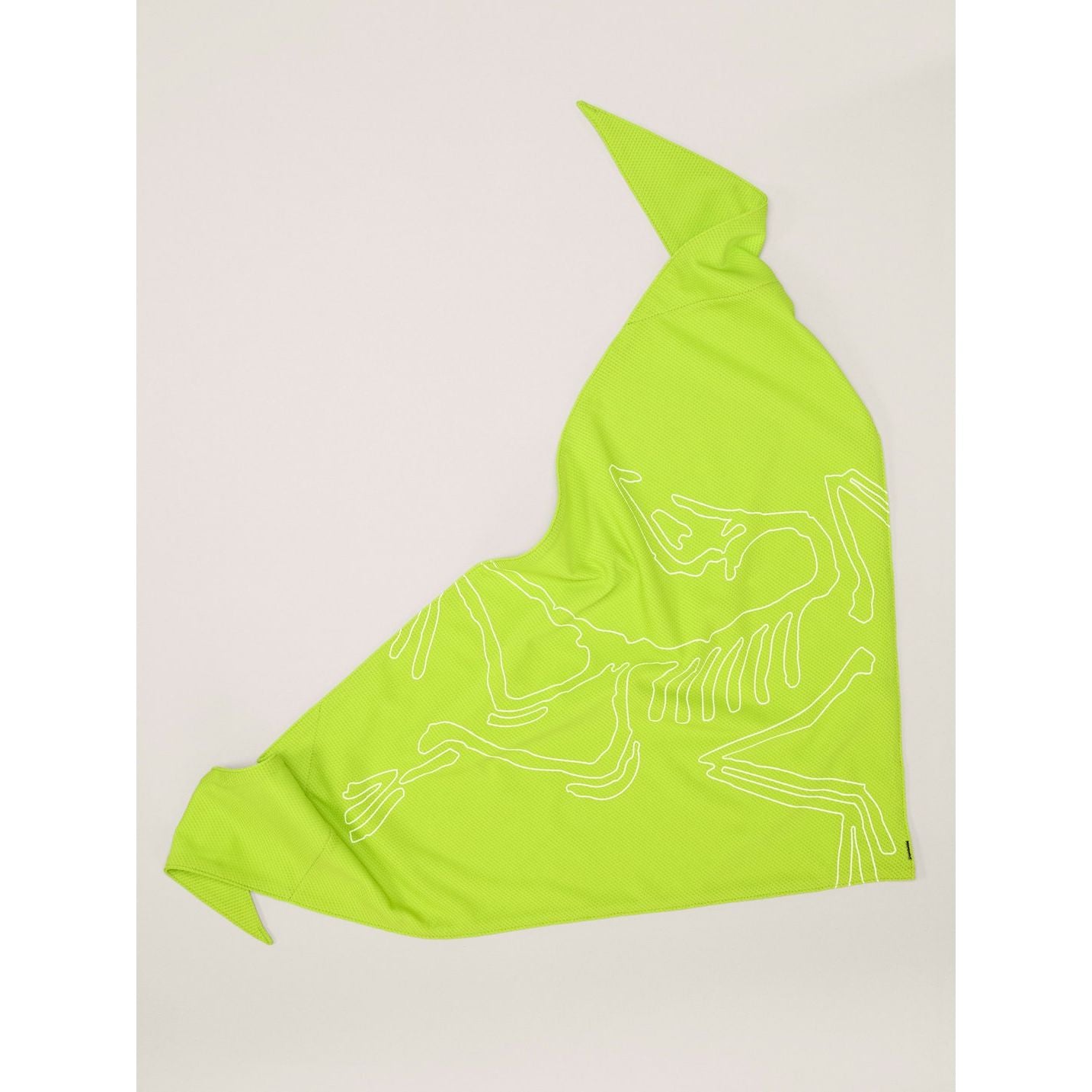 #color_mantis