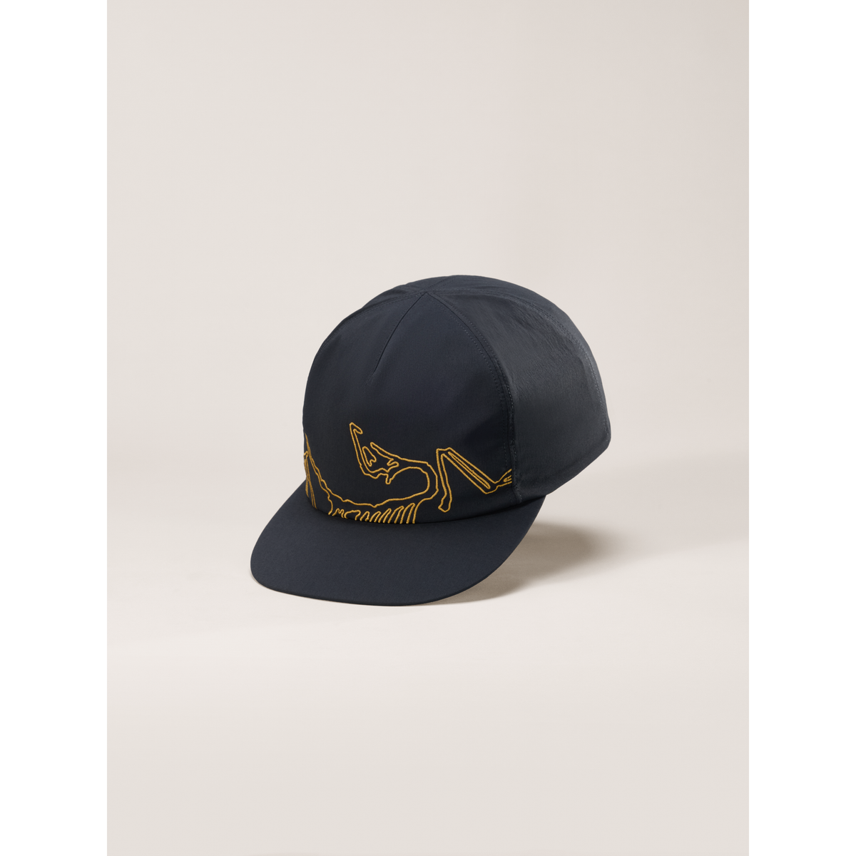 Arc'teryx Silex Cap in 24K Black