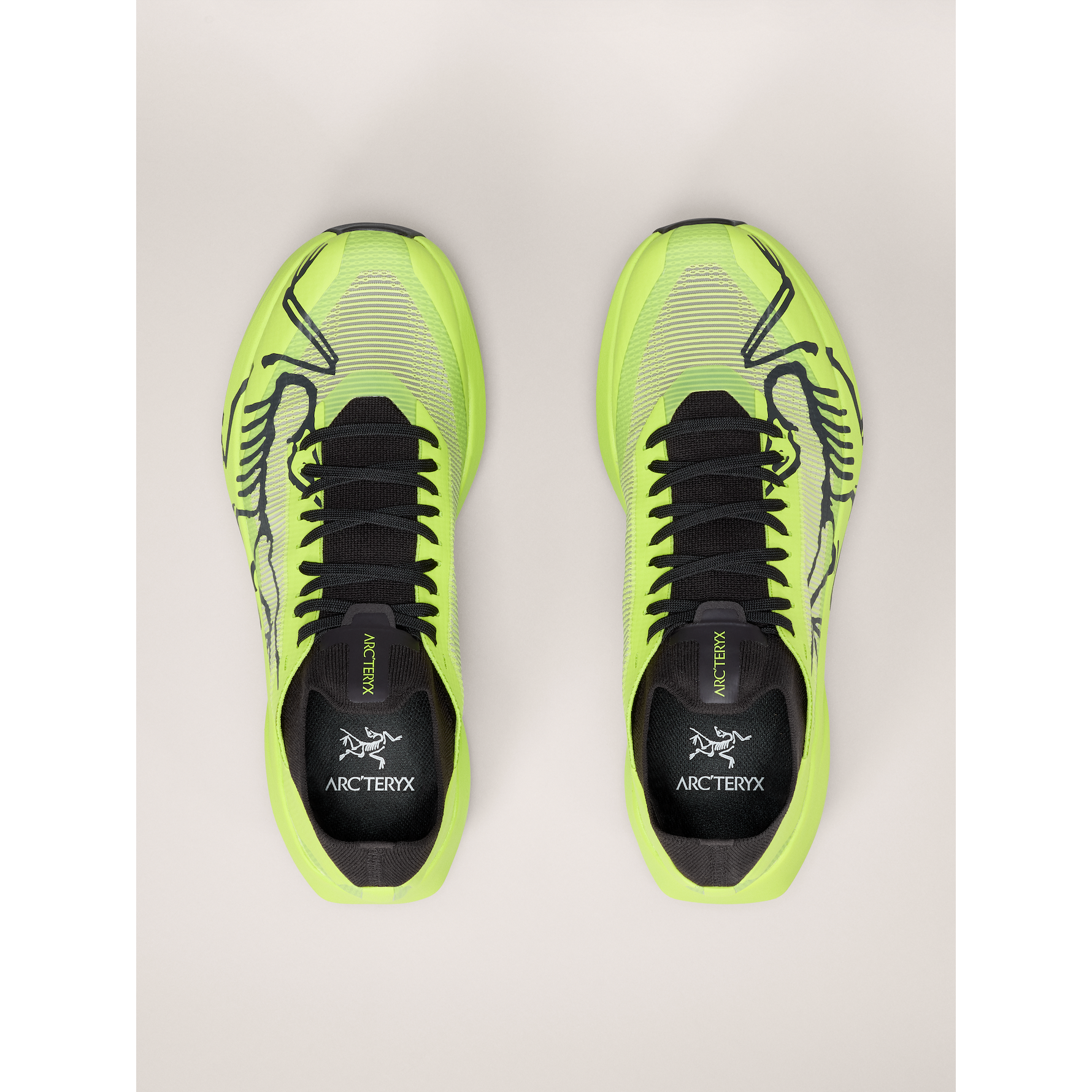 #color_mantis-mantis
