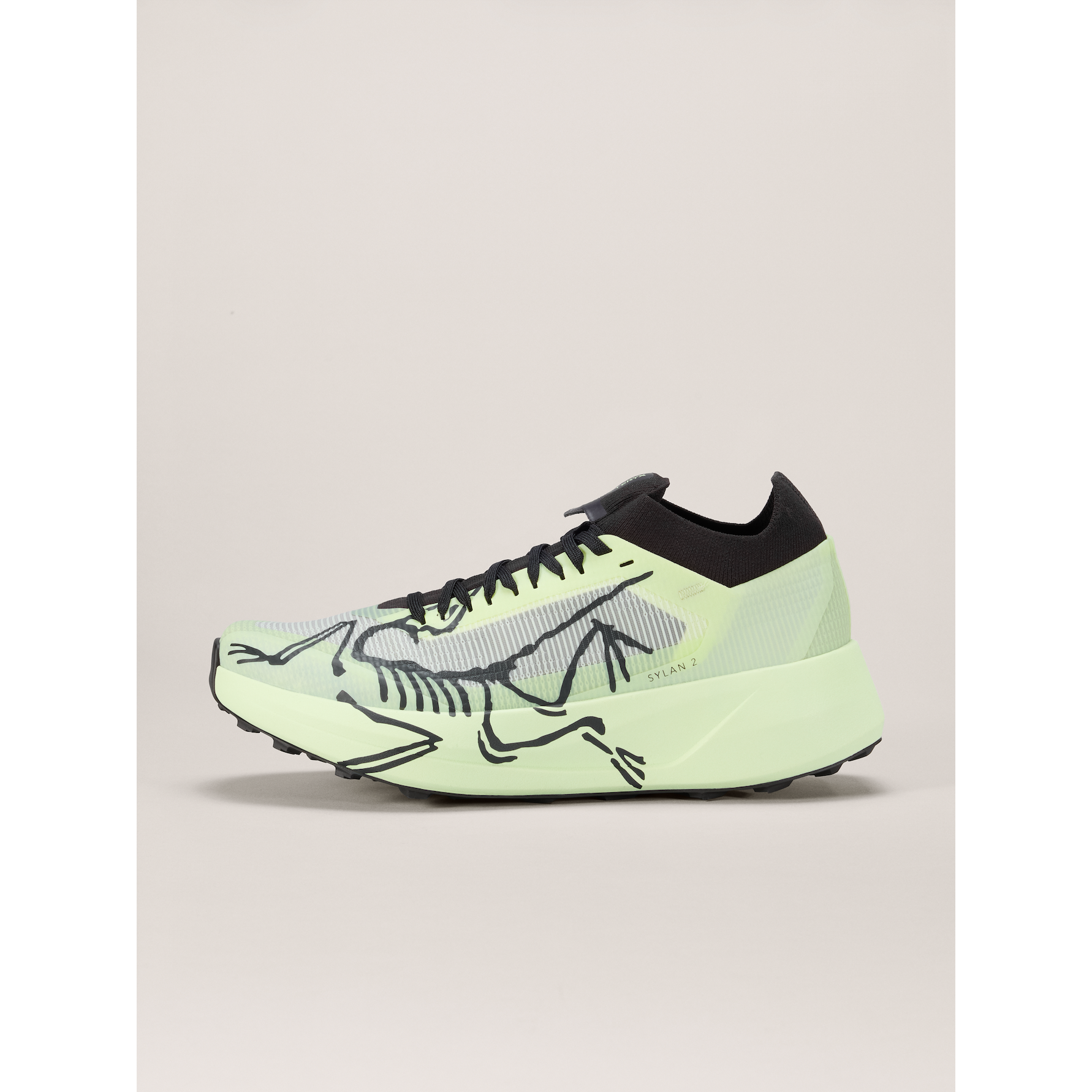 Arc'teryx Women's Sylan 2 Shoes