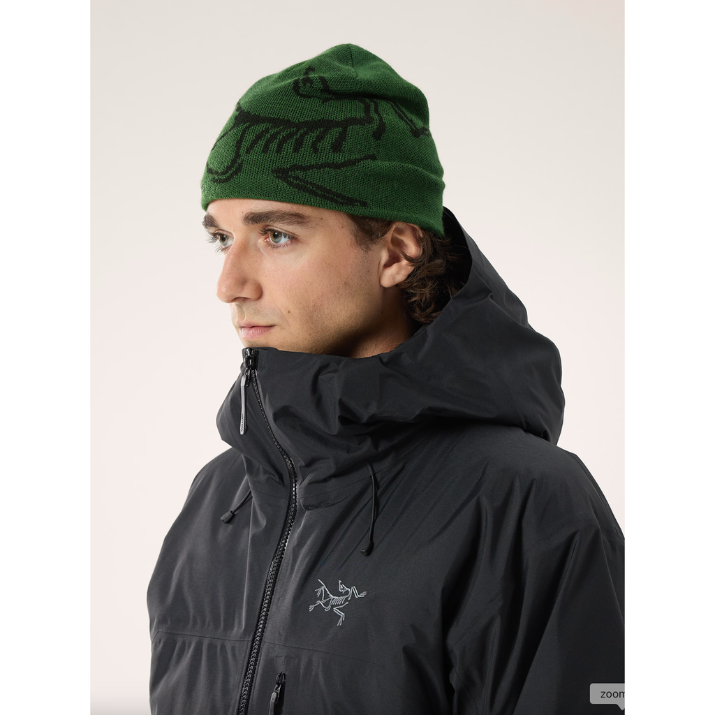 【正規品】ARC'TERYX ARC'TERYX Bird Head Toque Screenshot_2024-12-08_at_4.17.