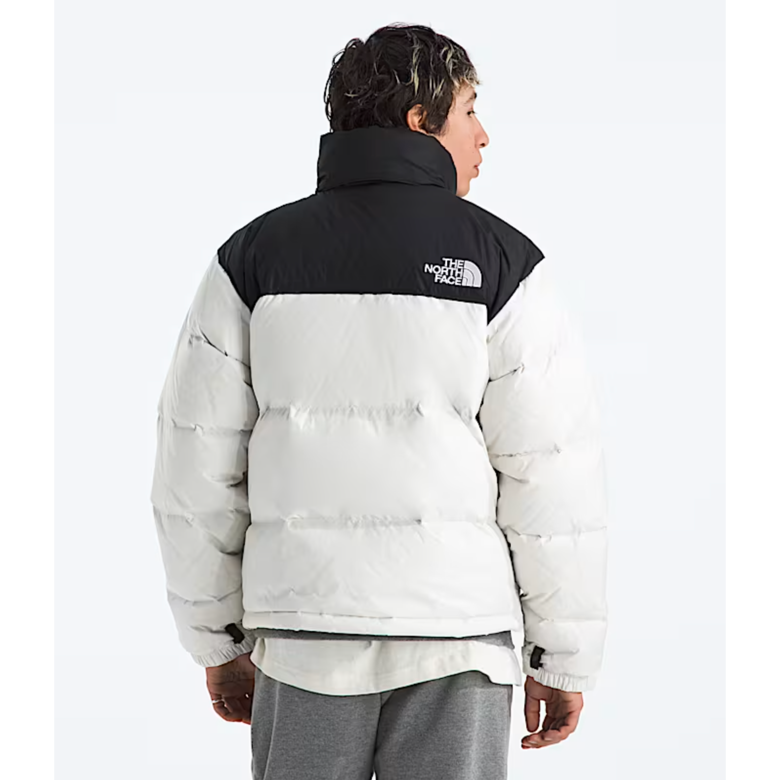 #color_white-dune-tnf-black