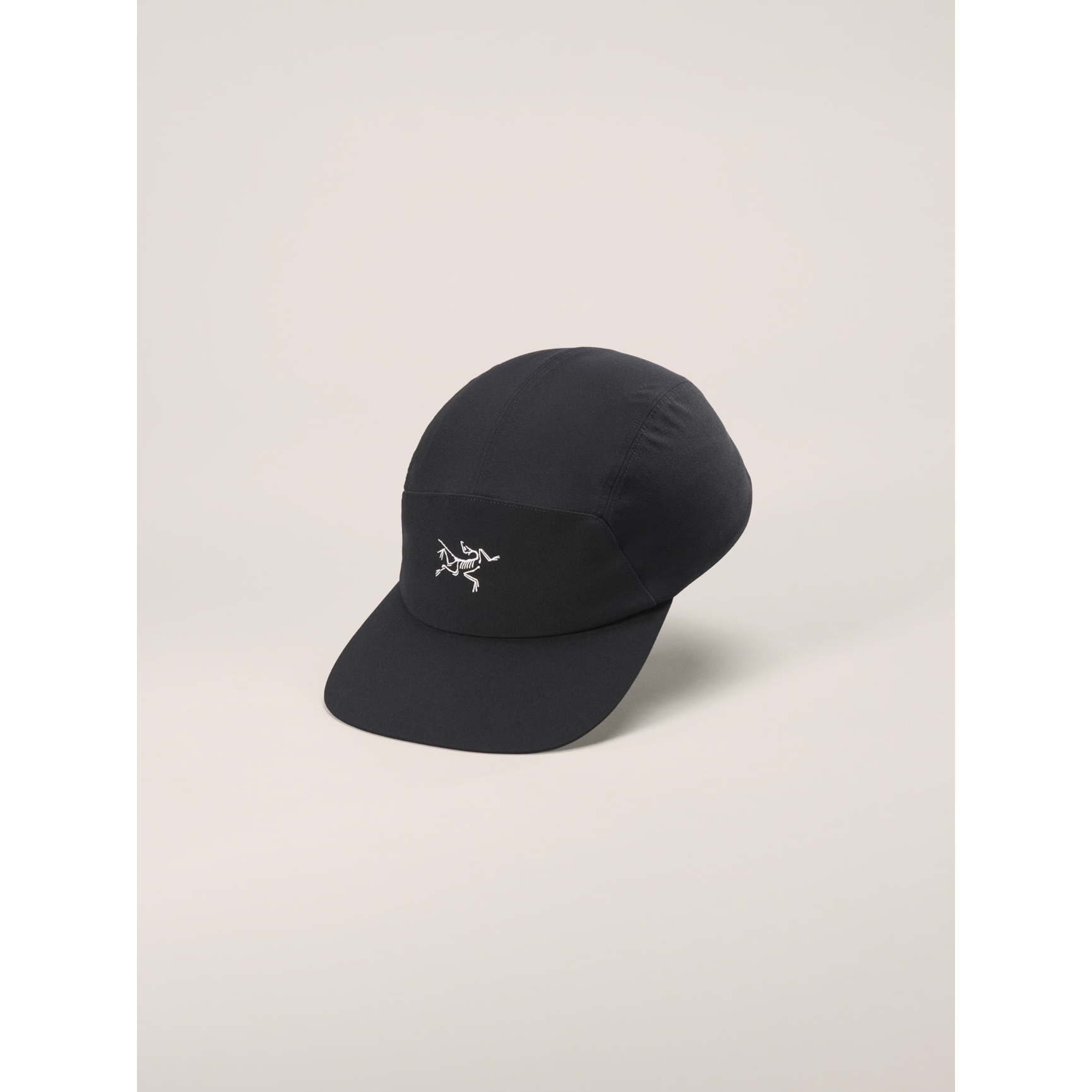 Arcteryx Bird Head Toque Beanie Arctic Silk/Rune Brand New