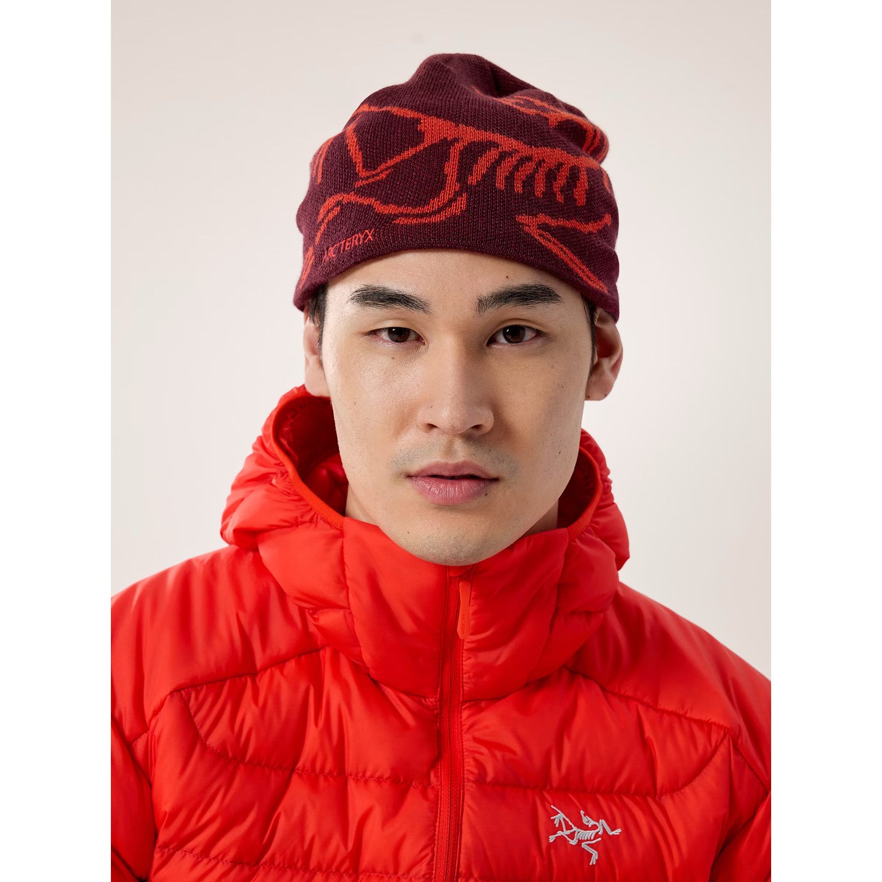 未使用 ARC'TERYX Bird Head Toque Bird Head Toque | Arc'teryx
