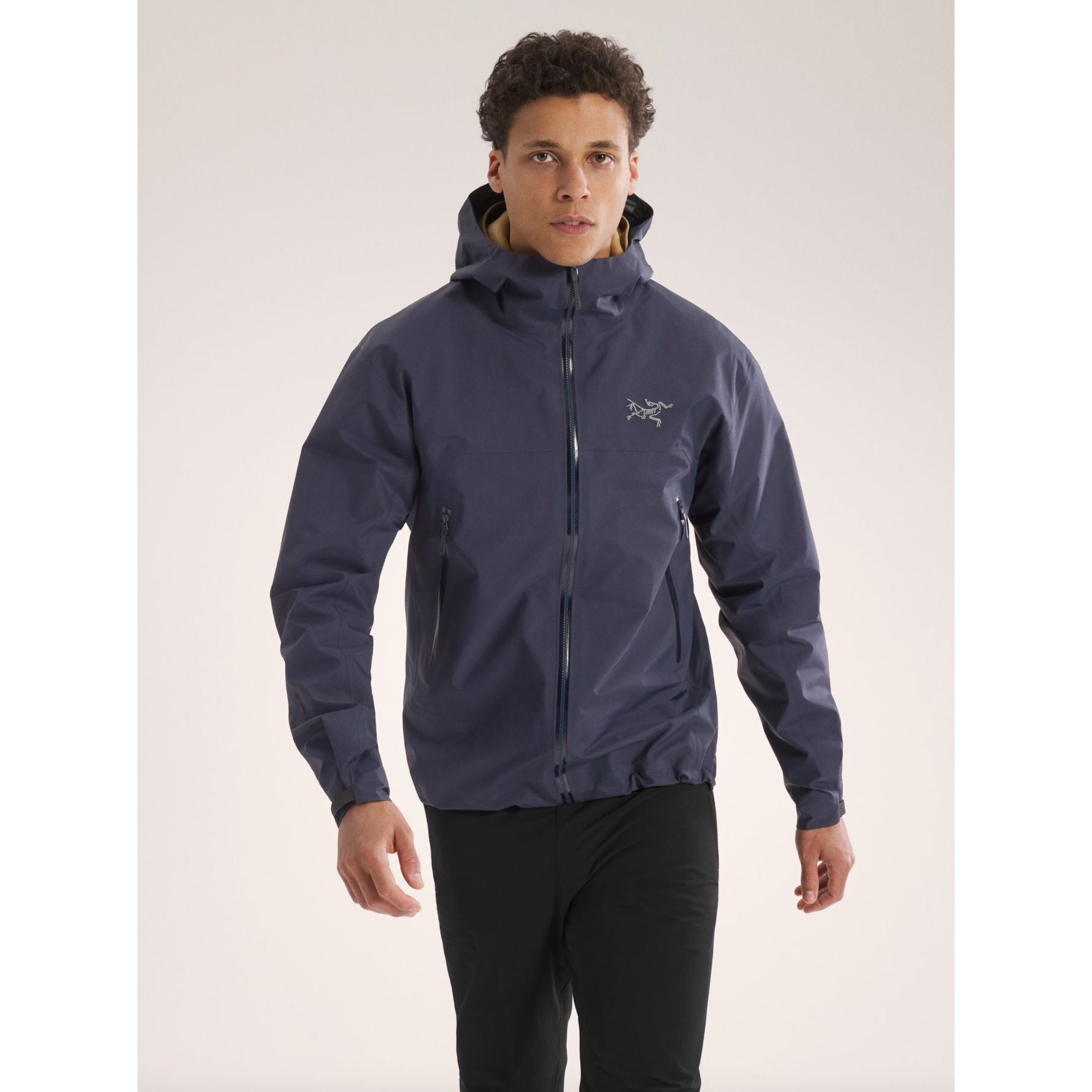 【国内正規品】ARC'TERYX BETA jacket size L Arc'teryx Men's Beta Jacket