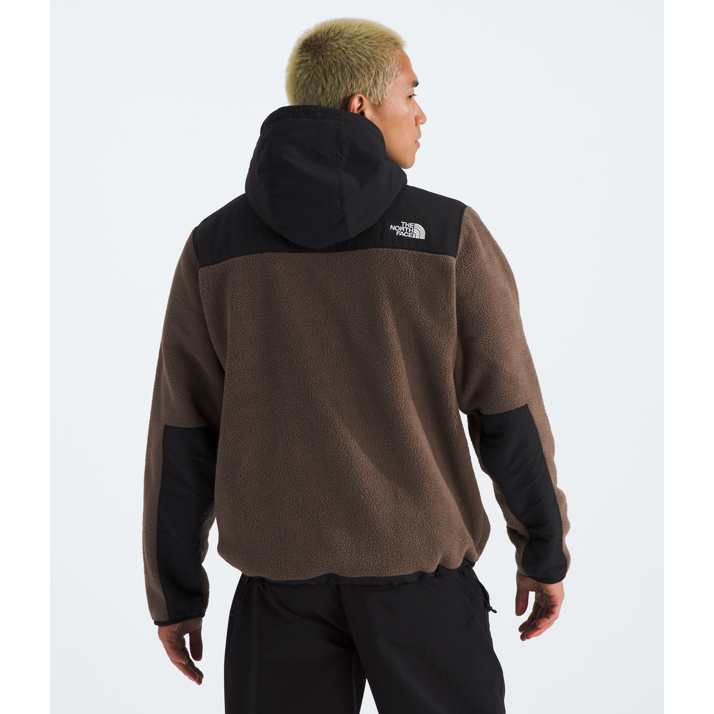 The North Face Men's Retro Denali Hoodie