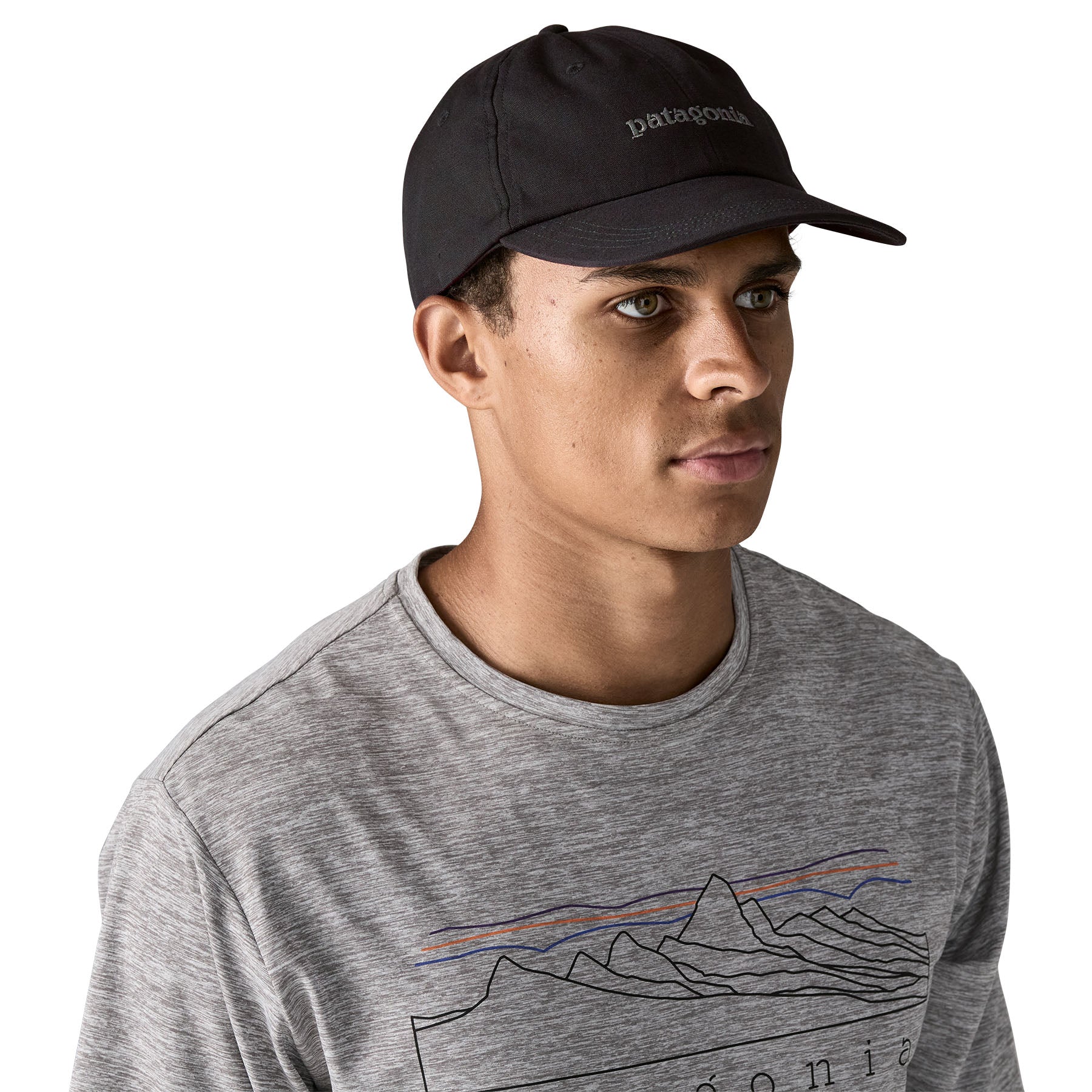 Patagonia Fitz Roy Icon Trad Cap