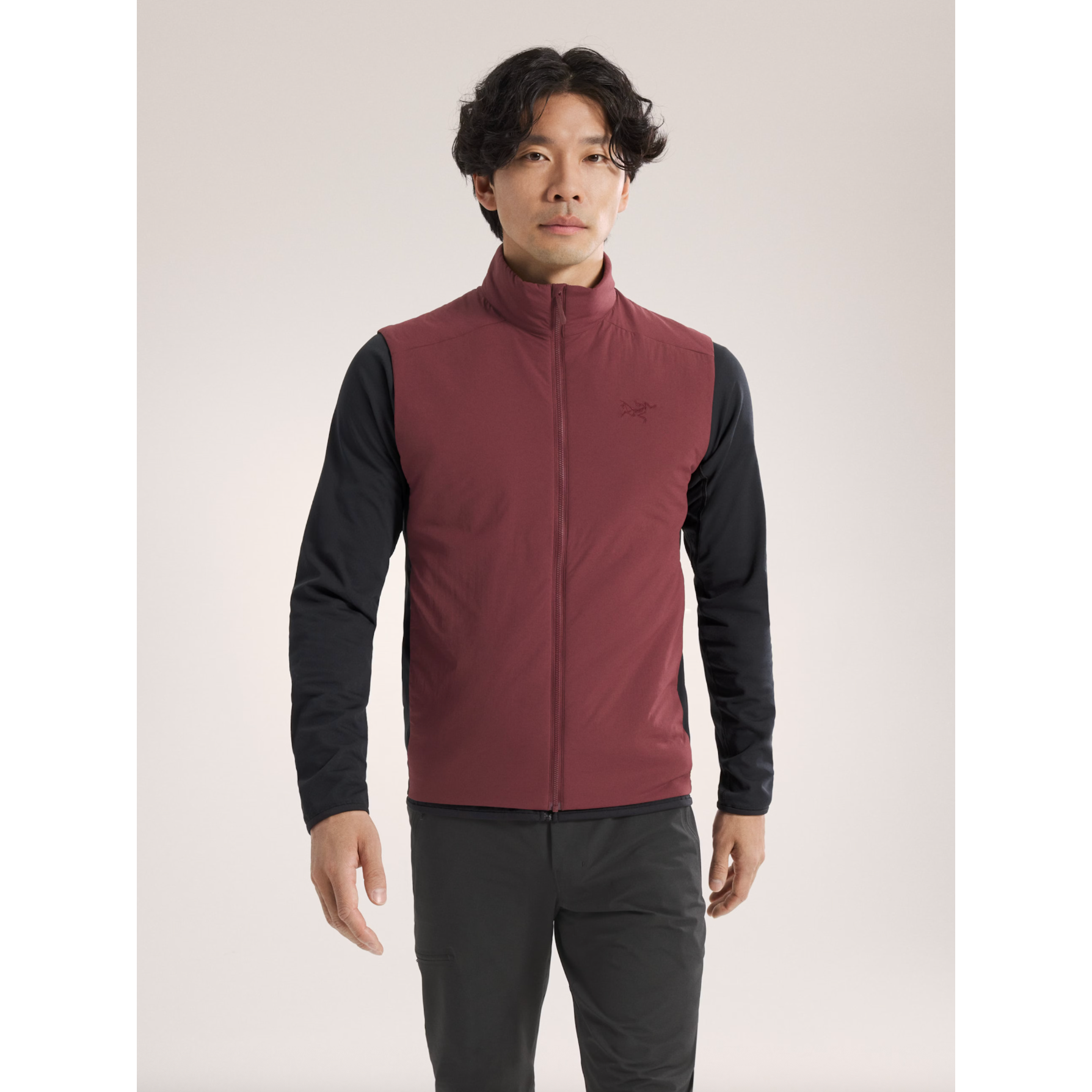 Arc'teryx Men's Atom Vest | Mars