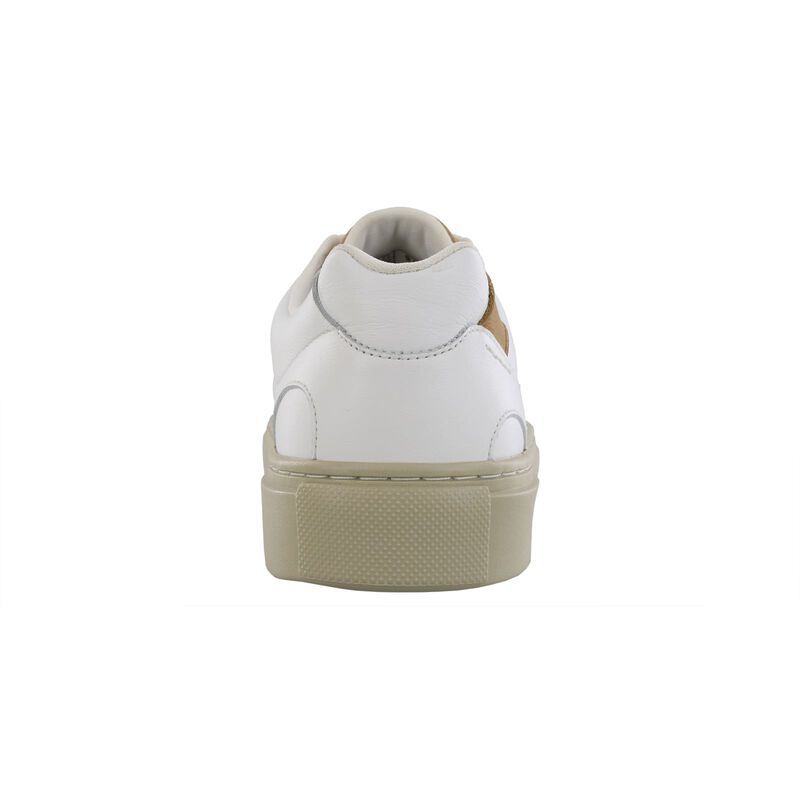 SAS Men's High Street Lace Up Sneaker in Venice