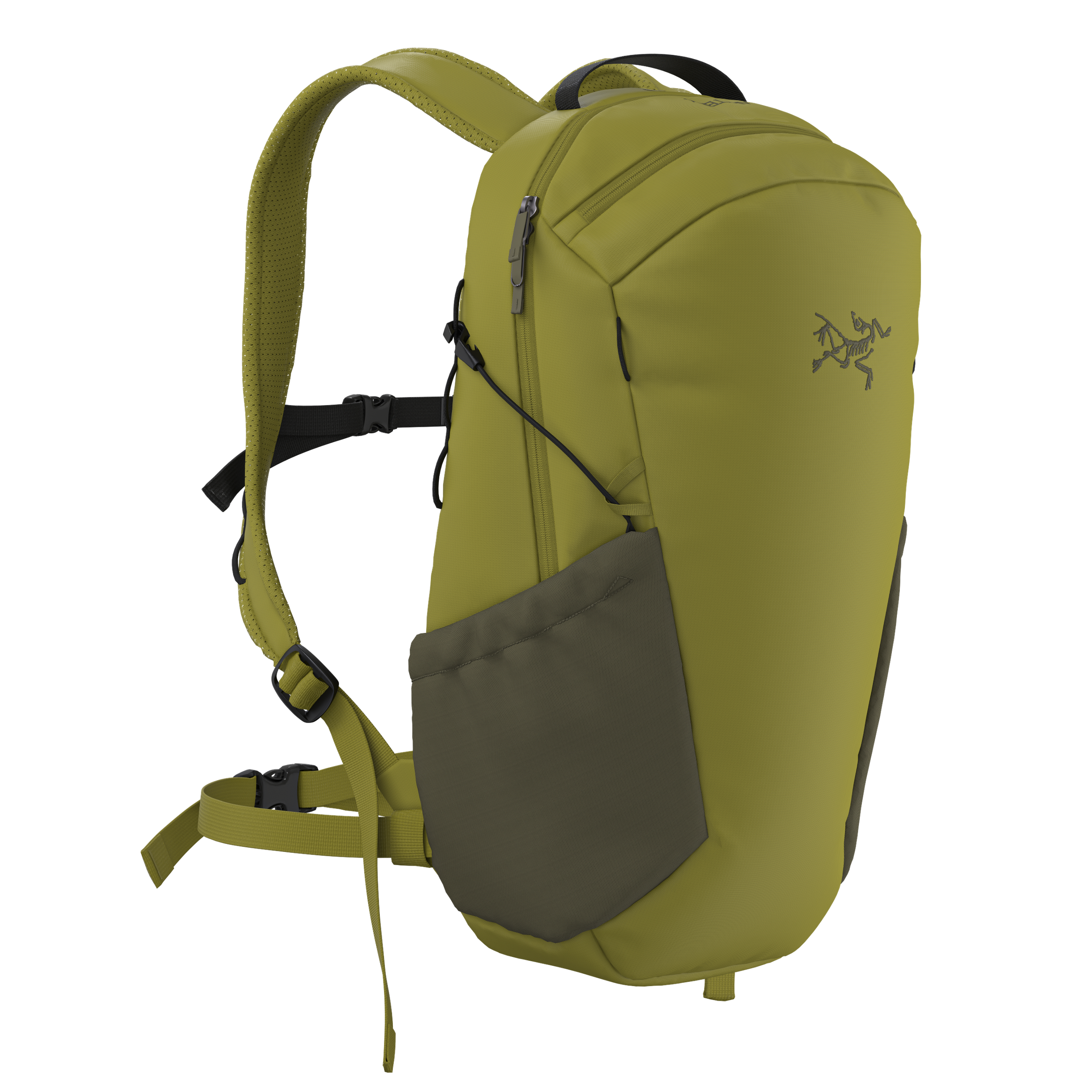 #color_olive-moss-tatsu