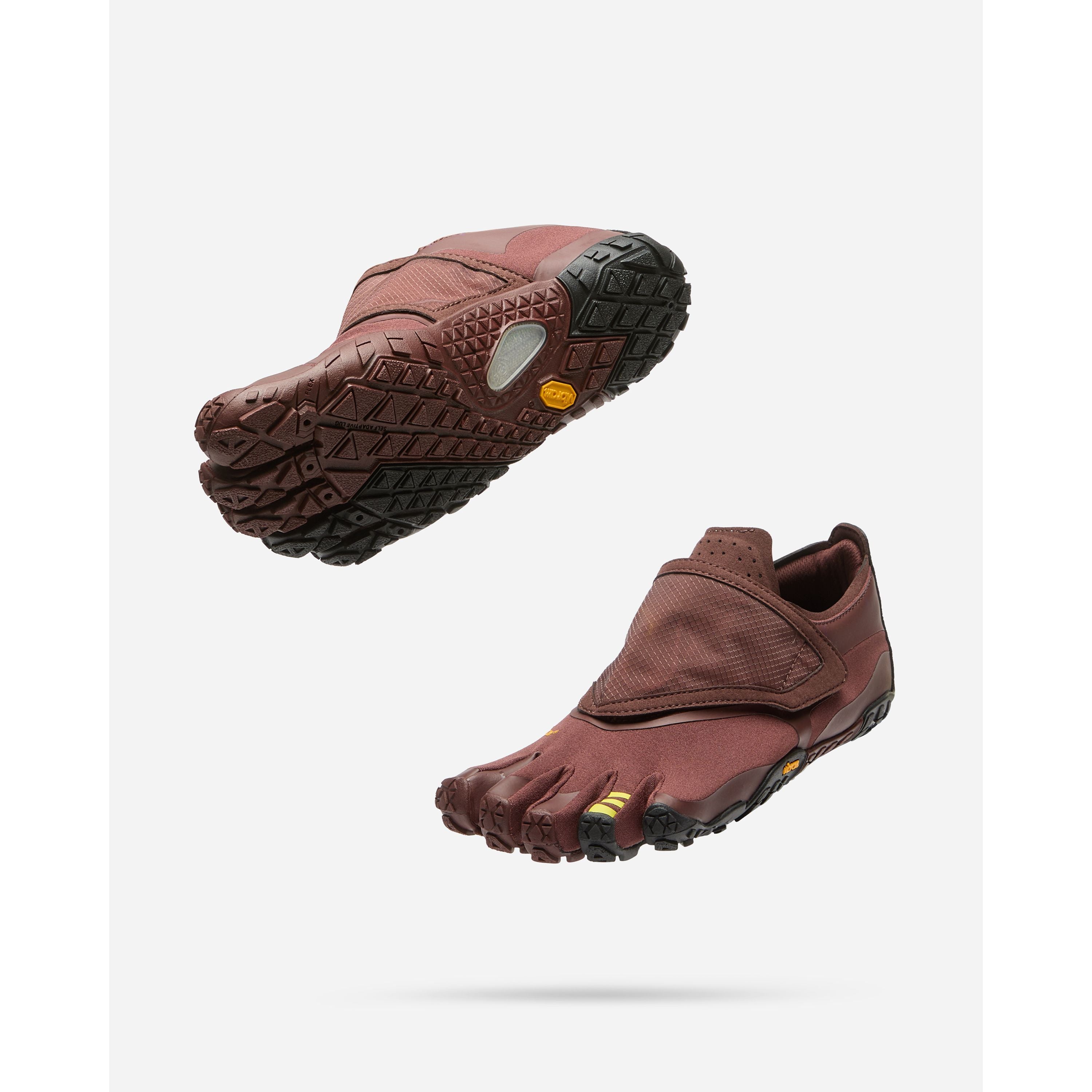 #color_brown-black