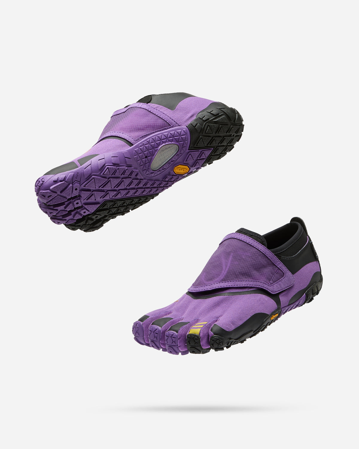 #color_purple-black