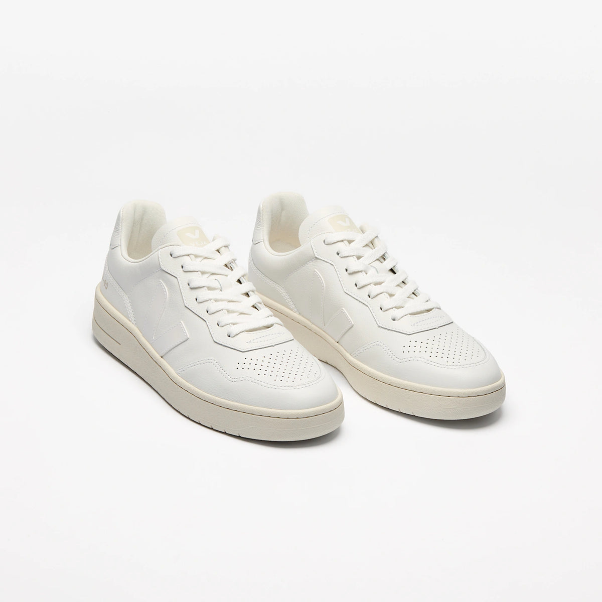 #color_extra-white-white