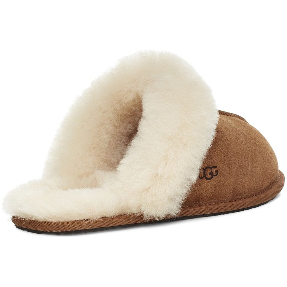 UGG Women's Scuffette II Slipper in Chestnut  Women's Footwear