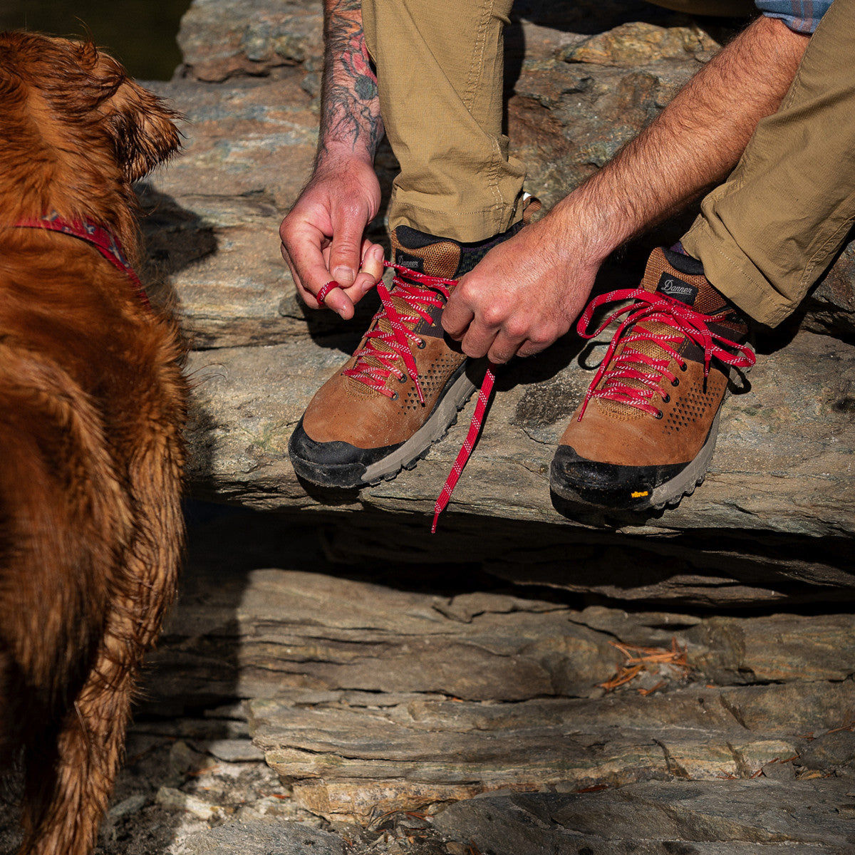 Danner Men's Trail 2650 3" In Brown/Red  Men's Footwear