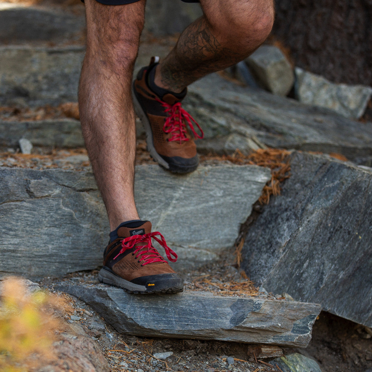 Danner Men's Trail 2650 3" In Brown/Red  Men's Footwear