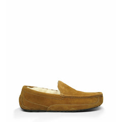 UGG Men's Ascot Slipper in Chestnut