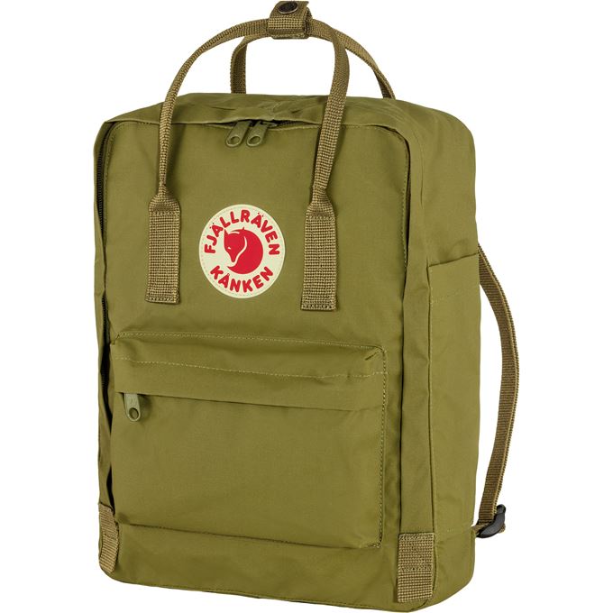 Orthodox Kruik Iedereen Fjallraven Classic Kanken Backpack in Foliage Green – Footprint USA